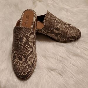 Eurosoft by Soffe Winona Women's Brown Snake Print Mules